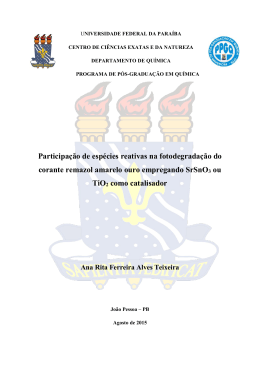 Ana Rita Ferreira Alves Teixeira - P&oacute;s-gradua&ccedil;&atilde;o