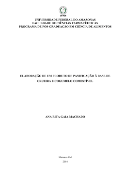 Disserta&ccedil;&atilde;o-Ana R G Machado