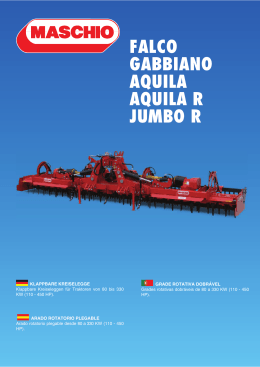 FALCO GABBIANO AQUILA AQUILA R JUMBO R