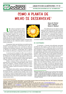 Como a planta de milho se desenvolve - IPNI