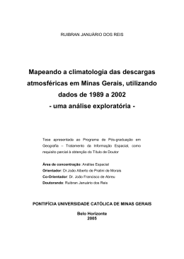 Tese doutorado Ruibran - Pontificia Universidade Catolica de Minas