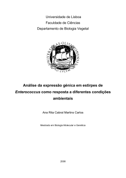 An&aacute;lise da express&atilde;o g&eacute;nica em estirpes de Enterococcus como