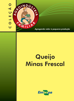 Queijo Minas Frescal - Ainfo