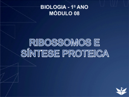 RIBOSSOMOS E S&Iacute;NTESE PROTEICA