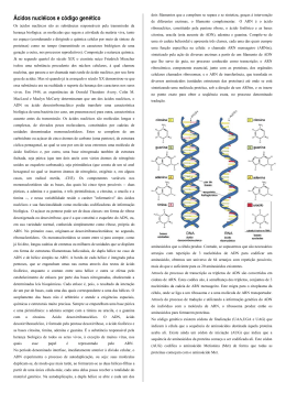Respira&ccedil;&atilde;o celular e fermenta&ccedil;&atilde;o