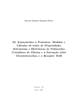 De Amino&aacute;cidos a Prote&acute;ınas: Medidas e C&aacute;lculos ab initio de