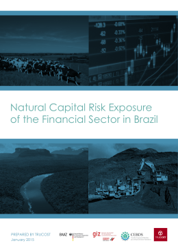 Natural Capital Risk Exposure of the Financial Sector in Brazil