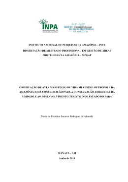 Disserta&ccedil;&atilde;o_Maria do Perp&eacute;tuo Socorro Rodrigues - BDTD