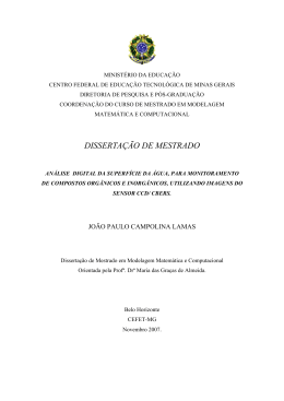 DISSERTA&Ccedil;&Atilde;O_JO&Atilde;O PAULO