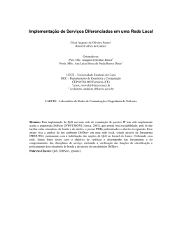 Implementa&ccedil;&atilde;o de Servi&ccedil;os Diferenciados em uma - Larces