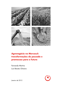 Agroneg&oacute;cio no Mercosul: transforma&ccedil;&otilde;es do