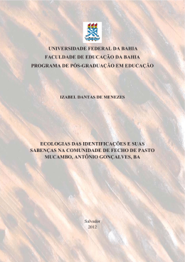 TESE COMPLETA Final 2013 - RI UFBA