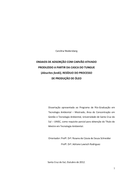 Disserta&ccedil;&atilde;o Carolina Niedesberg