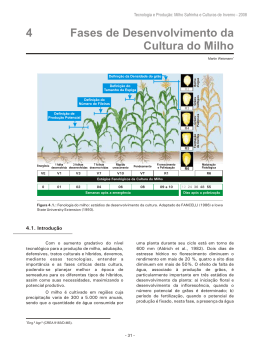 Fases de Desenvolvimento da Cultura do Milho