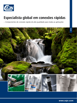 Especialista global em conex&otilde;es r&aacute;pidas