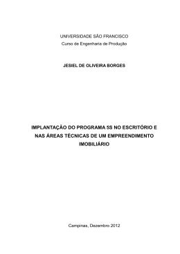 implanta&ccedil;&atilde;o do programa 5s no escrit&oacute;rio e nas &aacute;reas t&eacute;cnicas de