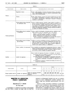 Decreto-Lei 251/91