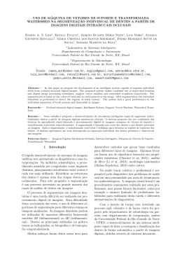 Uso de m&aacute;quina de vetores de suporte e transformada