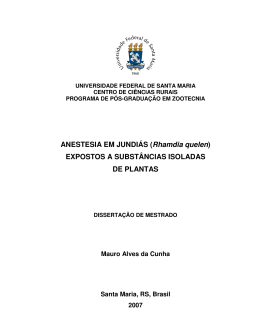 ANESTESIA EM JUNDI&Aacute;S (Rhamdia quelen) EXPOSTOS A