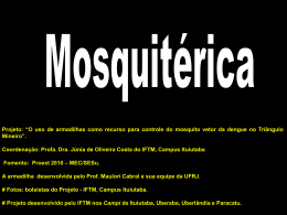 Aprenda como fazer a sua mosquit&eacute;rica