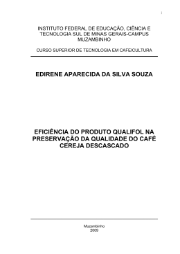 EDIRENE APARECIDA DA SILVA SOUZA