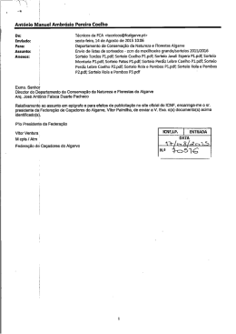 Ant&oacute;nio Manuel Ambr&oacute;sio Pereira Coelho