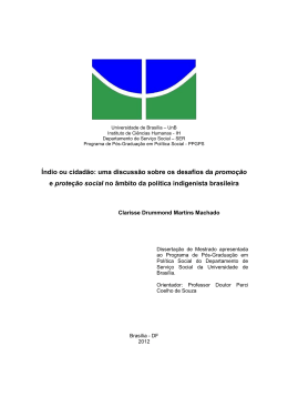 &Iacute;ndio ou cidad&atilde;o: uma discuss&atilde;o sobre os desafios da promo&ccedil;&atilde;o e