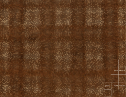 portfolio - Galeria Nara Roesler