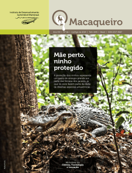 - Instituto Mamirau&aacute;