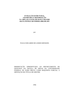 EVOLU&Ccedil;&Atilde;O ESTRUTURAL,