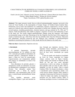 caracteriza&ccedil;&atilde;o de dep&oacute;sitos aluviais quatern&aacute;rios