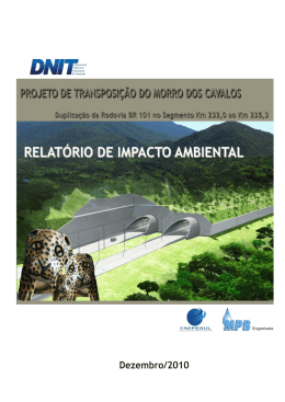 RELATÓRIO DE IMPACTO AMBIENTAL – RIMA DA BR-135/PI
