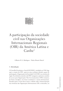 A participa&ccedil;&atilde;o da sociedade civil nas Organiza&ccedil;&otilde;es Internacionais