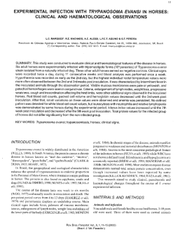 experimental infection with trypanosoma evansi in horses