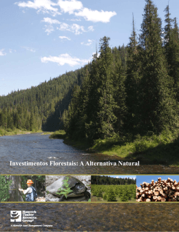 Investimentos Florestais - Hancock Timber Resource Group