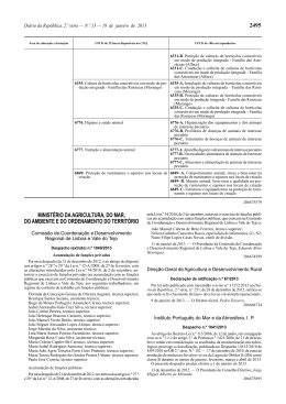 Despacho n.&ordm; 1041/2013