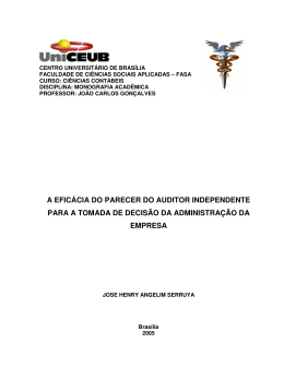 A EFIC&Aacute;CIA DO PARECER DO AUDITOR