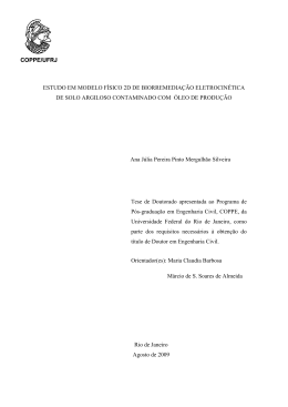 ESTUDO EM MODELO F&Iacute;SICO 2D DE BIORREMEDIA&Ccedil;&Atilde;O