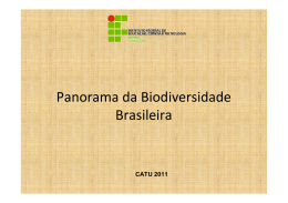 Panorama da Biodiversidade Brasileira_Grupo Ana Carla