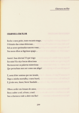 Sob as urzes queimadas nascem rosas