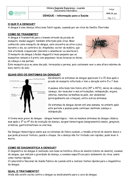 DENGUE &ndash; Informa&ccedil;&atilde;o para a Sa&uacute;de O QUE &Eacute; A