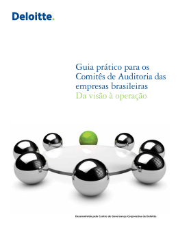 Guia pr&aacute;tico para os Comit&ecirc;s de Auditoria das empresas
