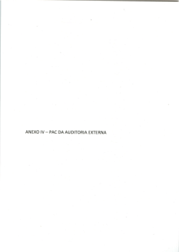 ANEXO IV - PAC DA AUDITORIA EXTERNA