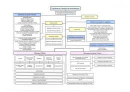 Estrutura de Apoio Técnico Presidente do Conselho de Administração