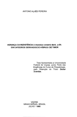 ANTONIO PEREIRA DA A et EM CAFEEIROS DERIVADOS DO