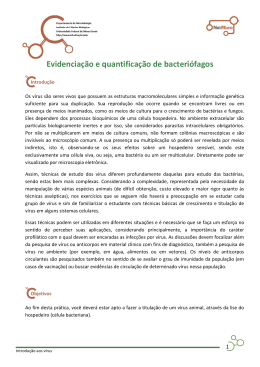 Evidencia&ccedil;&atilde;o e quantifica&ccedil;&atilde;o de bacteri&oacute;fagos