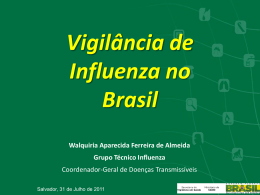 Vigil&acirc;ncia de Influenza no Brasil