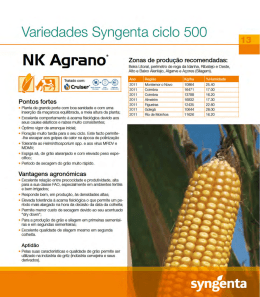 Variedades Syngenta ciclo 500 .1.3