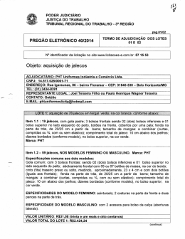 Termo de Adjudica&ccedil;&atilde;o