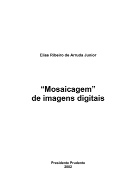 &ldquo;Mosaicagem&rdquo; de imagens digitais